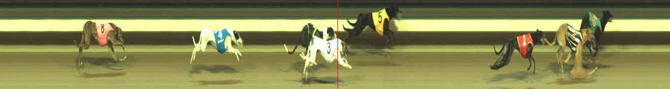 Photo finish for Warragul Race 5