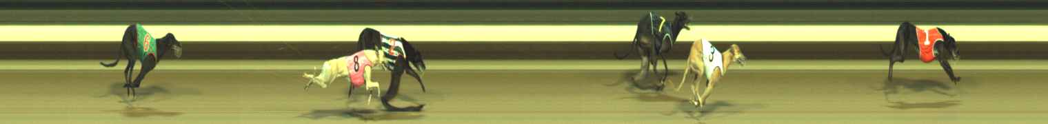 Photo finish for Warragul Race 6