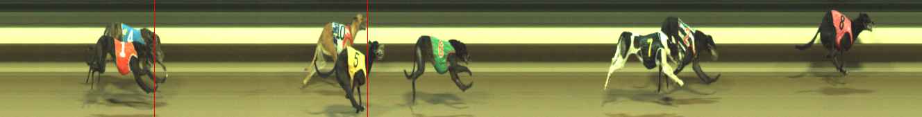 Photo finish for Warragul Race 8