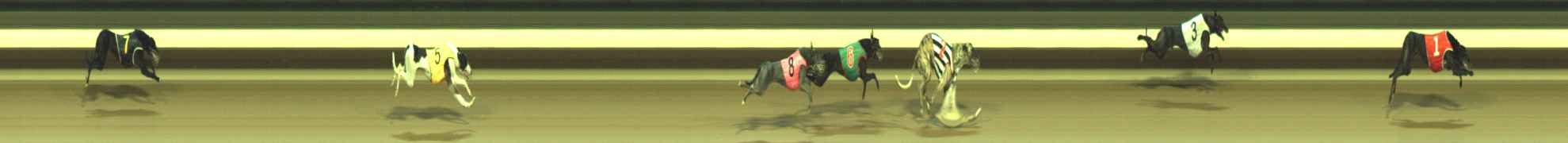 Photo finish for Warragul Race 9