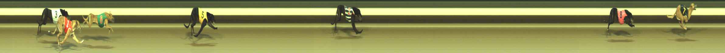 Photo finish for Warragul Race 10