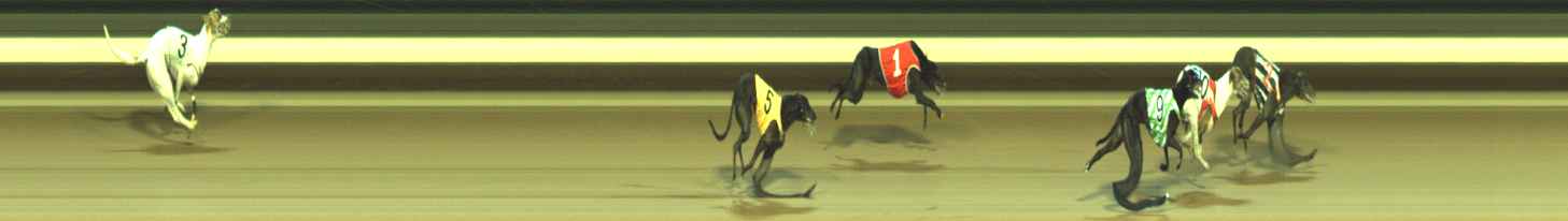 Photo finish for Warragul Race 12