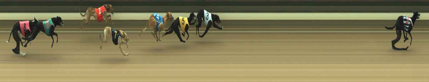 Photo finish for Warragul Race 1