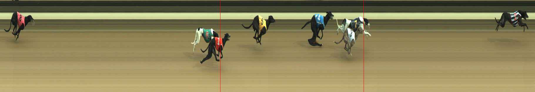 Photo finish for Warragul Race 2