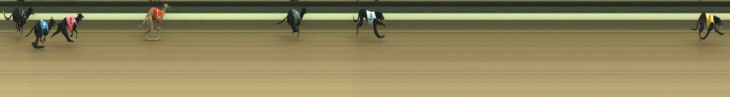 Photo finish for Warragul Race 3