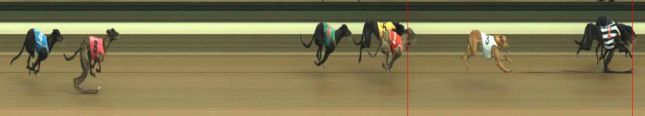 Photo finish for Warragul Race 4