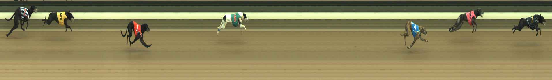 Photo finish for Warragul Race 5