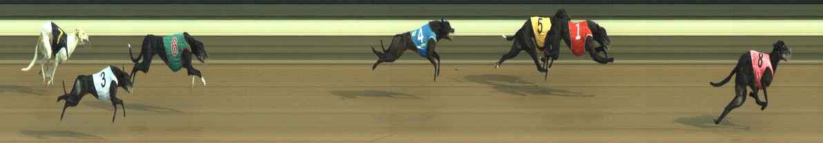 Photo finish for Warragul Race 6