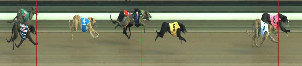 Photo finish for Warragul Race 7