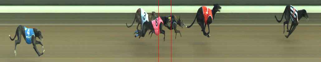 Photo finish for Warragul Race 8