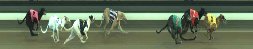 Photo finish for Warragul Race 11