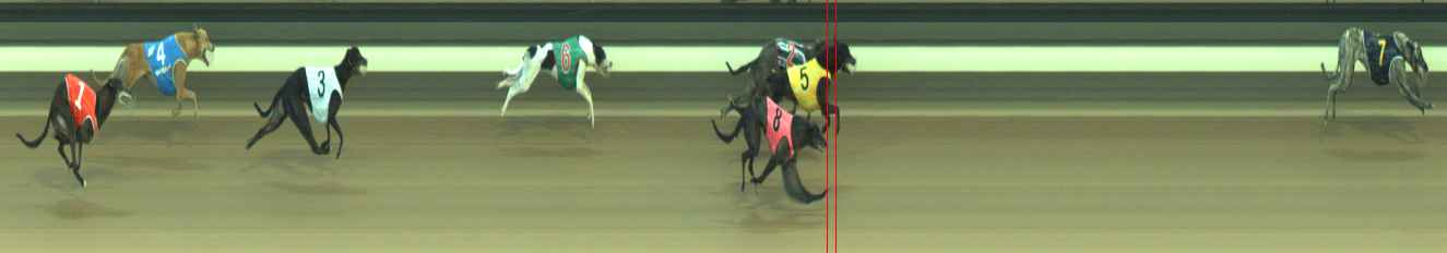 Photo finish for Warragul Race 12