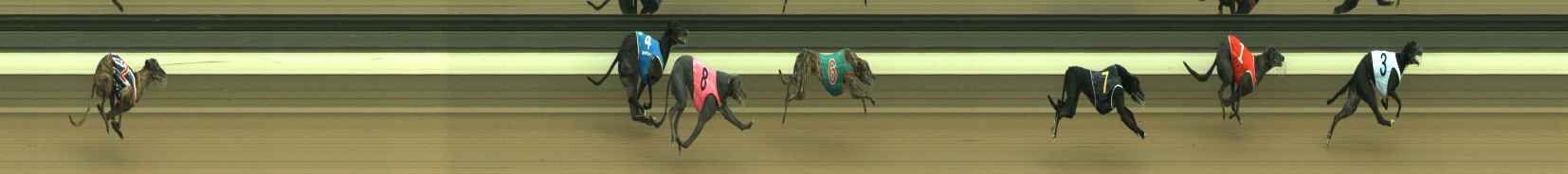 Photo finish for Warragul Race 3