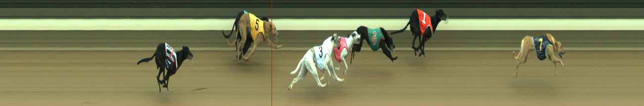Photo finish for Warragul Race 9