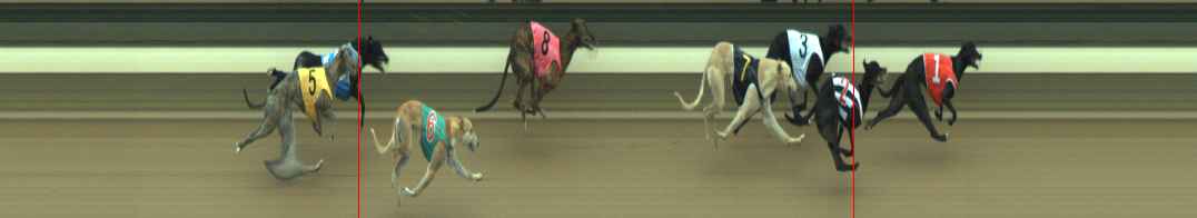 Photo finish for Warragul Race 10