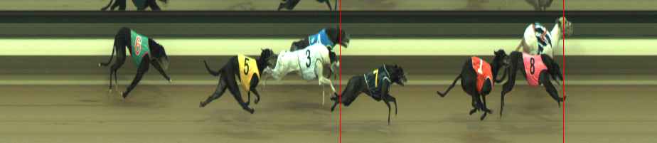 Photo finish for Warragul Race 11