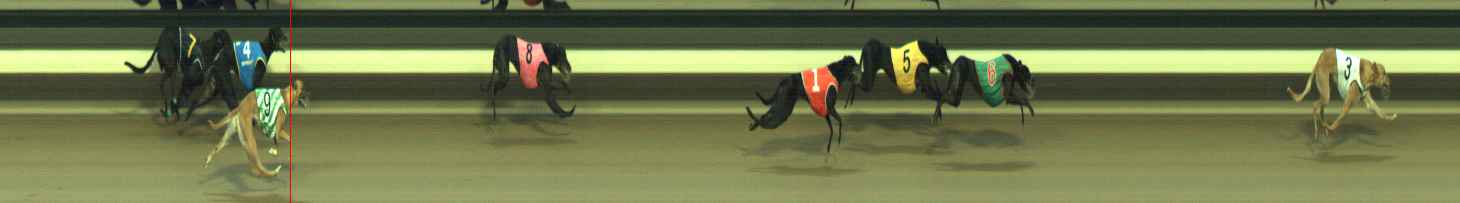 Photo finish for Warragul Race 12