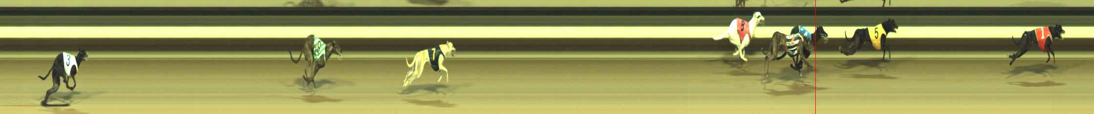 Photo finish for Warragul Race 1