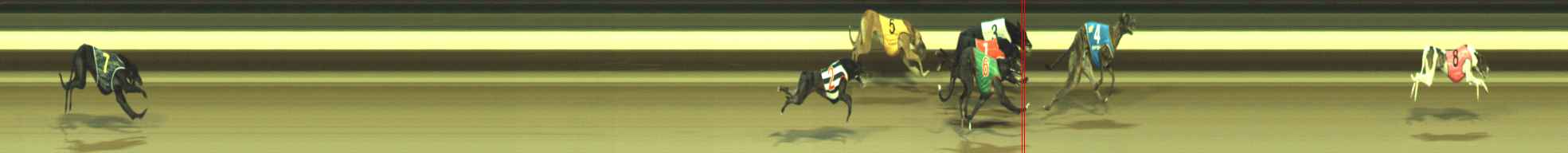 Photo finish for Warragul Race 2