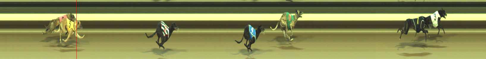 Photo finish for Warragul Race 3
