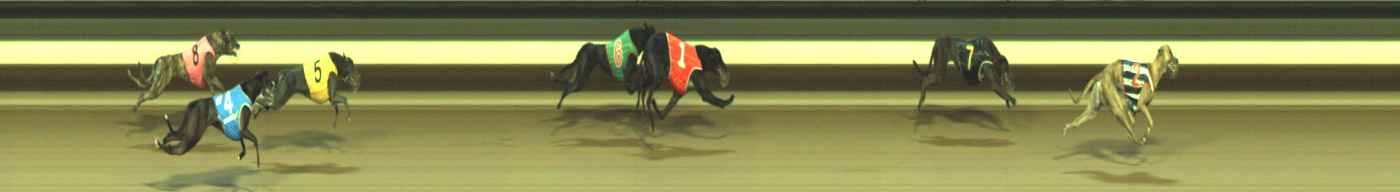 Photo finish for Warragul Race 7