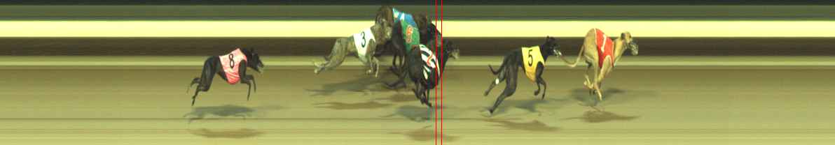 Photo finish for Warragul Race 11