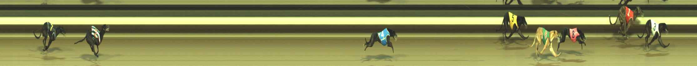 Photo finish for Warragul Race 12