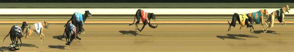 Photo finish for Warragul Race 2