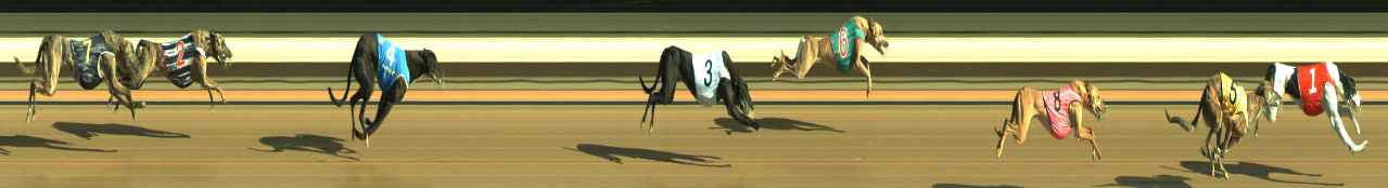 Photo finish for Warragul Race 3