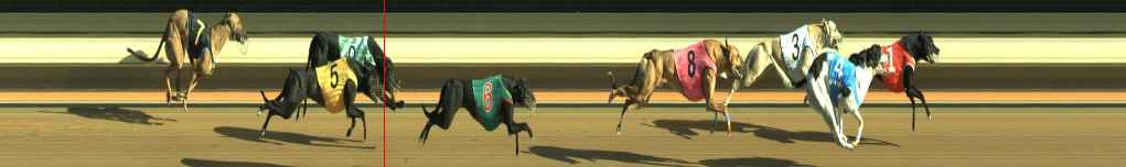 Photo finish for Warragul Race 4