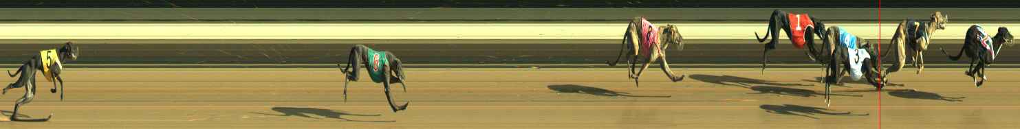 Photo finish for Warragul Race 5