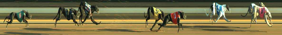 Photo finish for Warragul Race 8