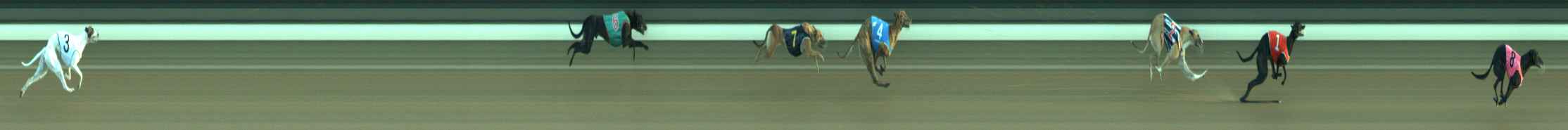 Photo finish for Warragul Race 9