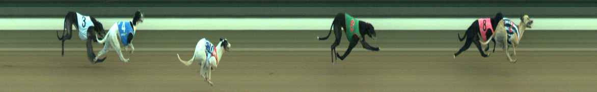 Photo finish for Warragul Race 10