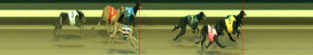 Photo finish for Warragul Race 11