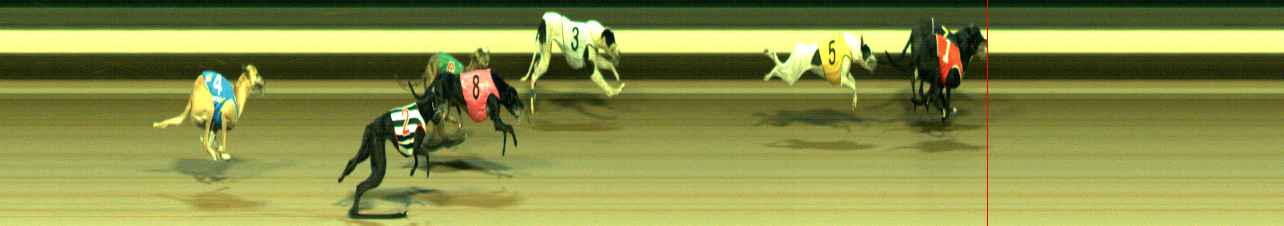 Photo finish for Warragul Race 12