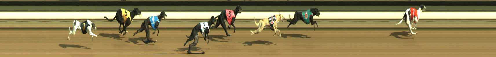 Photo finish for Warragul Race 1