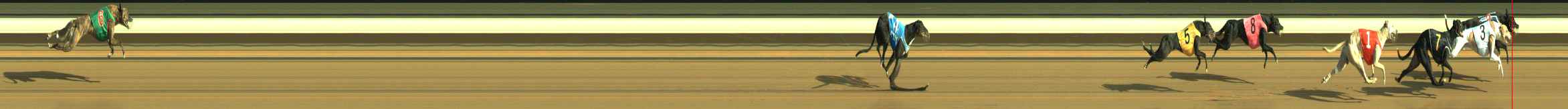 Photo finish for Warragul Race 4