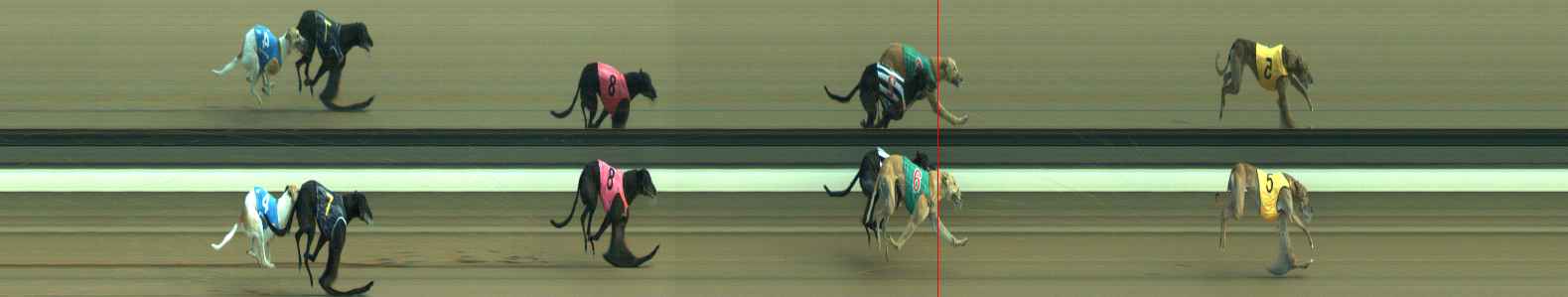 Photo finish for Warragul Race 5