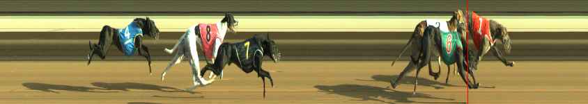 Photo finish for Warragul Race 6