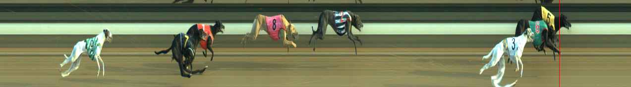 Photo finish for Warragul Race 8