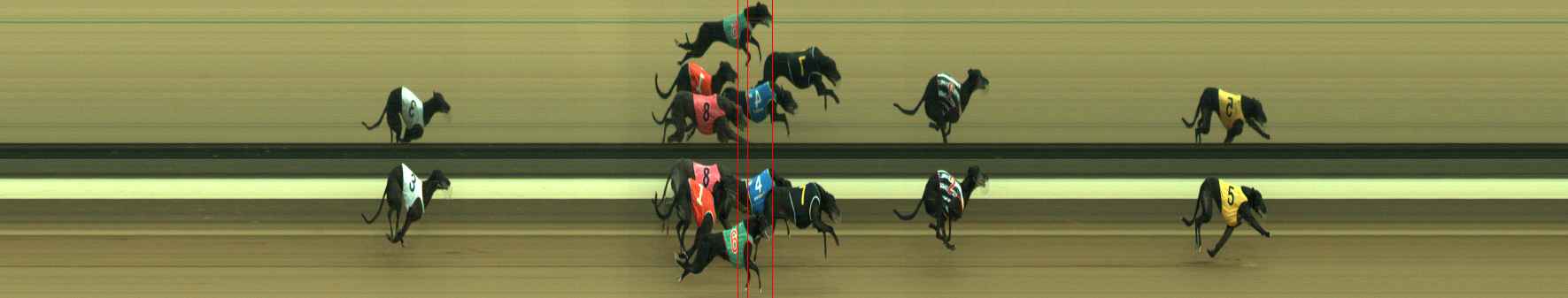 Photo finish for Warragul Race 9