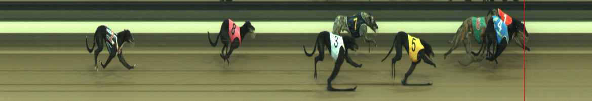 Photo finish for Warragul Race 10