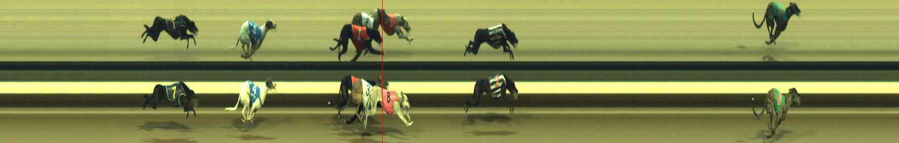 Photo finish for Warragul Race 12