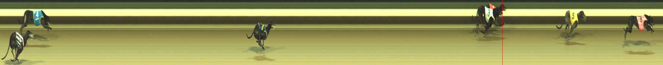 Photo finish for Warragul Race 2
