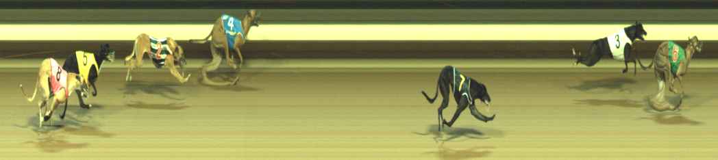 Photo finish for Warragul Race 3