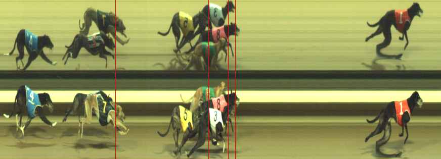 Photo finish for Warragul Race 4
