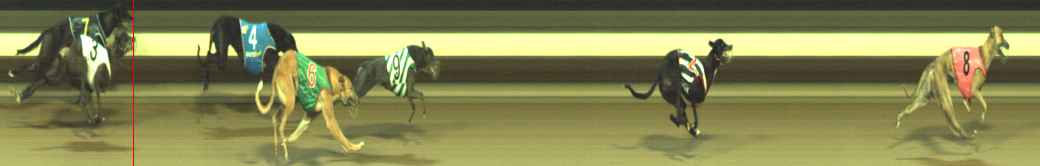 Photo finish for Warragul Race 5