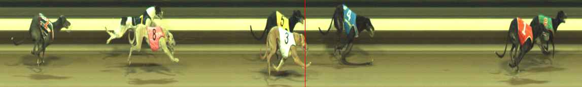 Photo finish for Warragul Race 6