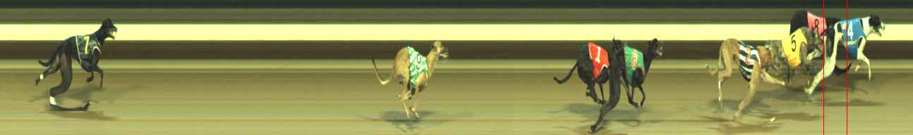 Photo finish for Warragul Race 8